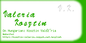 valeria kosztin business card